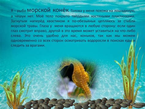 индикаторы чистоты чёрного моря